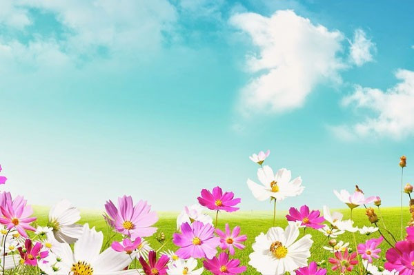 Cemre tarihleri ilk cemre ne zaman nereye düşecek? - Resim: 2