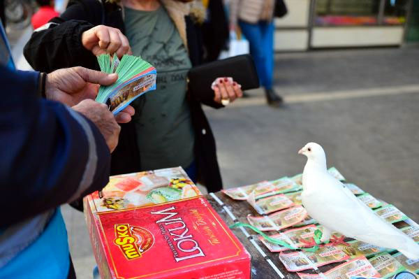 Uyanık piyangocunun yaptığı şeytanın aklına gelmez! Güvercin kakalı bilet... - Resim: 3
