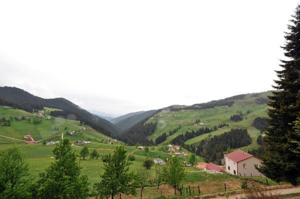 PKK'lı teröristler evlere girdi! Şehirde alarm verildi... - Resim: 2