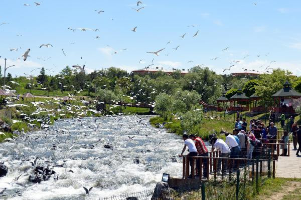 Bu görüntüler Van'dan: Nefes kesen yolculuk! - Resim: 1
