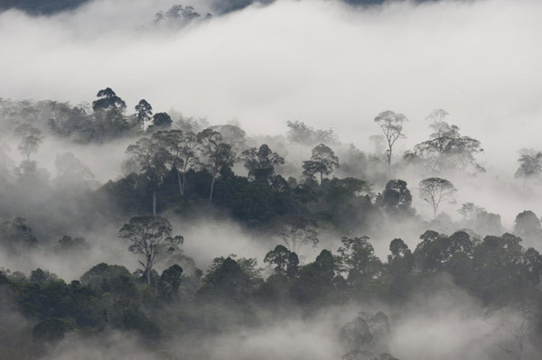 Bu güzelliği birdaha göremeyeceksiniz! - Resim: 1