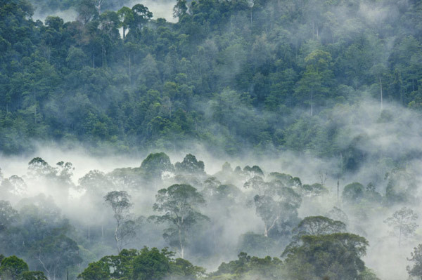 Bu güzelliği birdaha göremeyeceksiniz! - Resim: 2