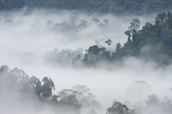 Bu güzelliği birdaha göremeyeceksiniz! - Resim: 3