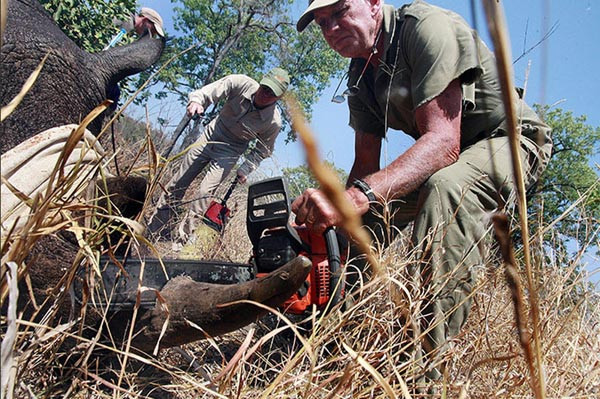 Afrika'da milyon dolarlık savaş - Resim: 2