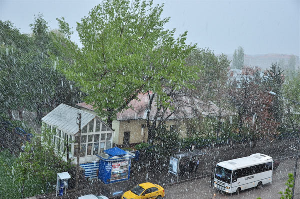 Erzurum'da lapa lapa kar yağdı - Resim: 4