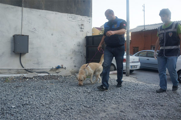 İstanbul polisinden dev operasyon - Resim: 1