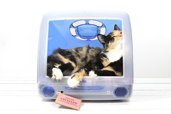 En şık kedi evleri - Resim: 1