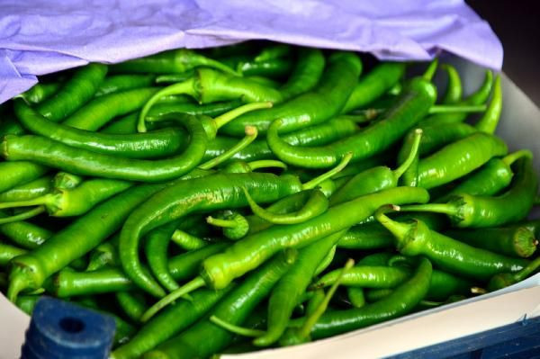Hangi ilde nerede tanzim satış yerleri var tanzim satışı yapılan yerler - Resim: 3