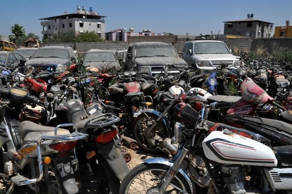 Reyhanlı'da bir servet çürüyor! 6 milyon lira çöp oluyor - Resim: 2