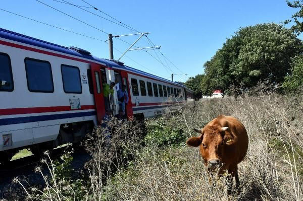 Tekirdağ'da korkunç kaza! Hayvanlarını kurtarmak isterken feci can verdi - Resim: 4