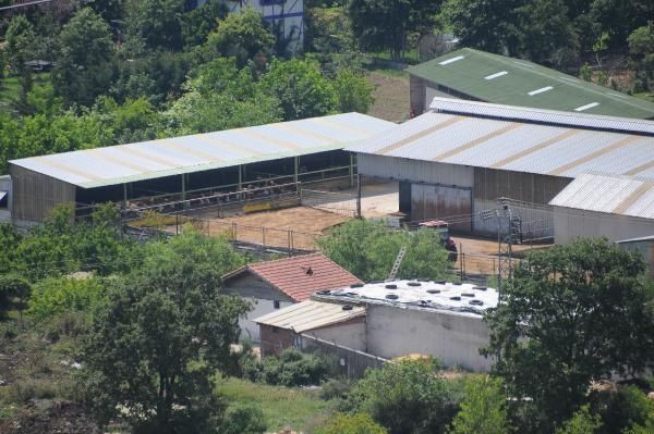 İYİ Parti'li Lütfü Türkkan'a çiftliğindeki kaçak bölümler için süre verildi! - Resim: 2