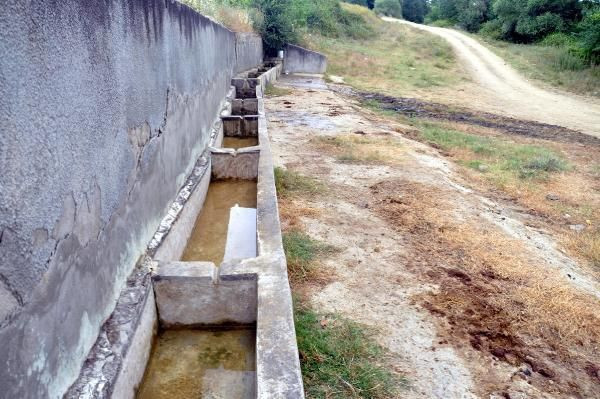 Tekirdağ'da inanılmaz görüntüler! Köylülerin susuzluktan içtikleri su inanılmaz - Resim: 4
