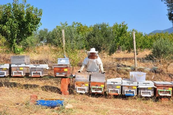 Manisa'da hobi olarak başladı gramını 700 liradan satıyor - Resim: 3