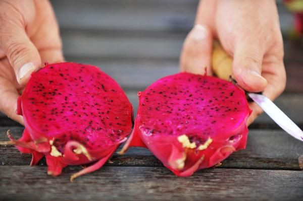 Bursa'da ilk ve tek üretim alanını kurdu! Paraya para demiyor - Resim: 3