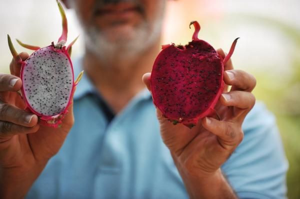 Bursa'da ilk ve tek üretim alanını kurdu! Paraya para demiyor - Resim: 2