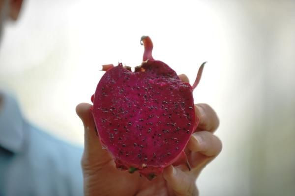 Bursa'da ilk ve tek üretim alanını kurdu! Paraya para demiyor - Resim: 4