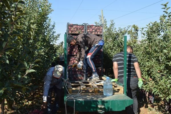 Elazığlı mühendis mesleğini bıraktı bu işe başladı! Şimdi paraya para demiyor - Resim: 3