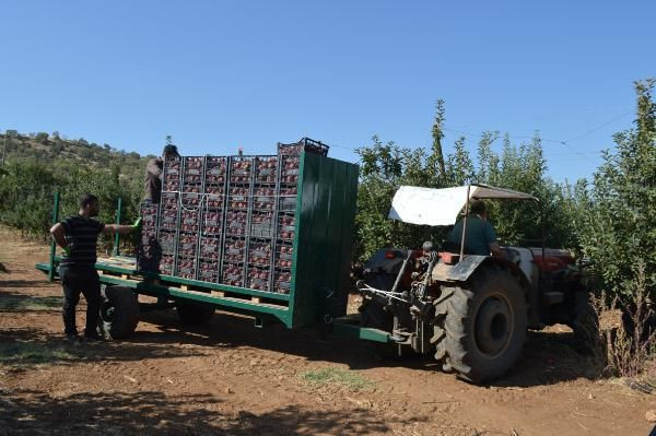 Elazığlı mühendis mesleğini bıraktı bu işe başladı! Şimdi paraya para demiyor - Resim: 2