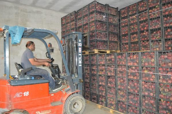 Elazığlı mühendis mesleğini bıraktı bu işe başladı! Şimdi paraya para demiyor - Resim: 1