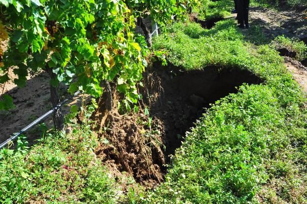 Manisa'yı tedirgin eden görüntüler! Fay hattında 3 metrelik dev yarıklar oluştu - Resim: 4