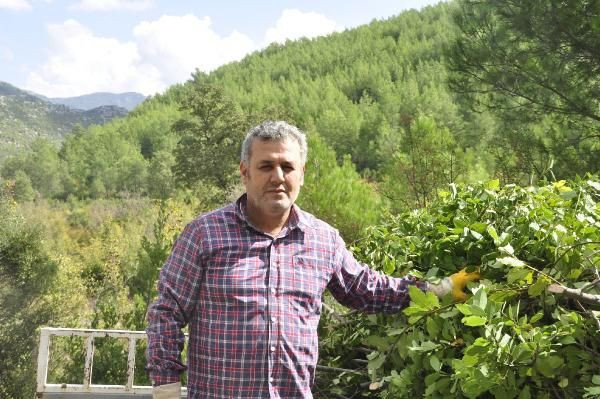 Antalya'da üretiliyor dünya peşinde! 5 milyon lira gelir bekleniyor kilosu 2,5 TL - Resim: 1