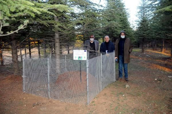 Trakya halkı görür görmez haber geriyor! Yuvaları için hemen kafes yapılıyor - Resim: 2