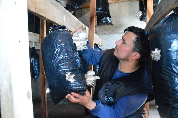 Askerde görüp hobi olarak Sakarya'da başladı! 2 bin lira kar etti - Resim: 1