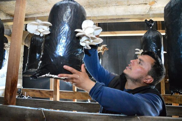 Askerde görüp hobi olarak Sakarya'da başladı! 2 bin lira kar etti - Resim: 2