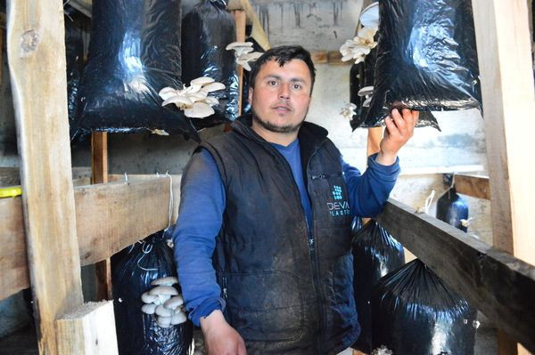 Askerde görüp hobi olarak Sakarya'da başladı! 2 bin lira kar etti - Resim: 3