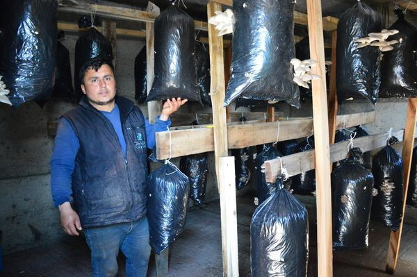 Askerde görüp hobi olarak Sakarya'da başladı! 2 bin lira kar etti - Resim: 4