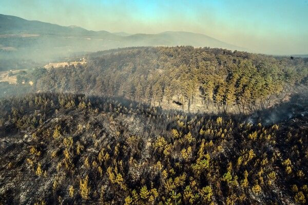 Muğla Marmaris'te yürek dağlayan kareler! Helikopterden görüntülendi - Resim: 1