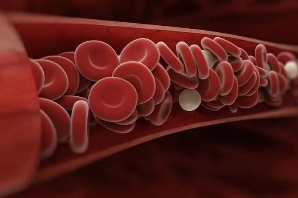 Pıhtı atmasının nedeni belli oldu! Herkes Kovid aşısı sanıyordu ama değil - Resim: 2