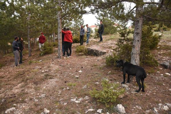 Sapıklığın böylesi! Kütahya'da köpeğe tecavüz ilçeyi ayağa kaldırdı - Resim: 0