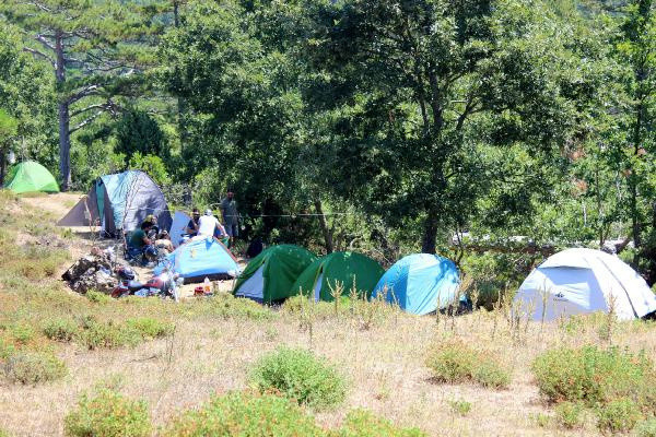 Kaz Dağları'ndan neler oluyor? Ağaçların kesildiği altın aranan alanın haritası - Resim: 0