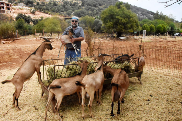 Antalya'da yeni bir keçi türü ortaya çıktı - Resim: 1