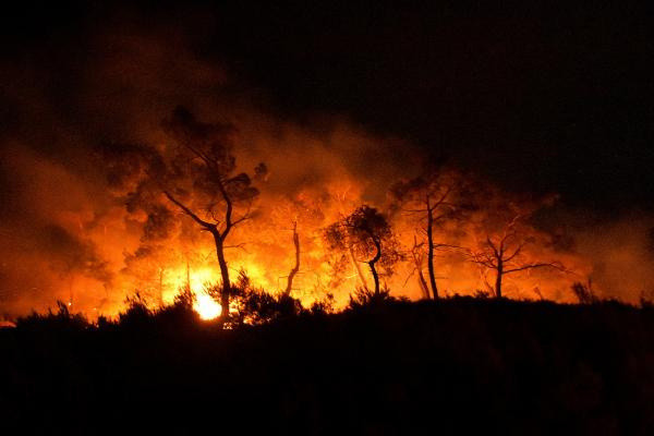 Ege cayır cayır yanıyor! İzmir, Bodrum, Muğla, Manisa... - Resim: 3