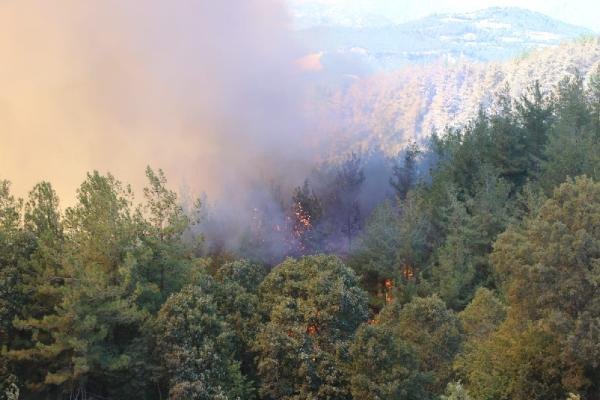 Adana'daki yangında 6 köy boşaltıldı - Resim: 1