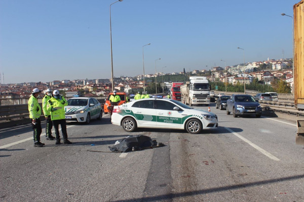Kocaeli'de otomobilden inip hayatının hatasını yaptı! Feci şekilde can verdi - Resim: 0