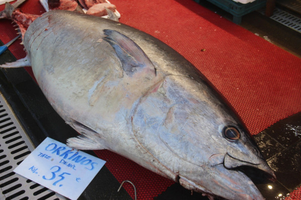 Kayseri'de görenler şaşkına döndü! Kilosu 35 liradan satışa sunuldu - Resim: 0