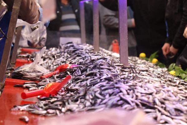 Kilosu 15 TL'ye düştü! Bolu'da vatandaşlar alabilmek için birbirleriyle yarıştılar - Resim: 0