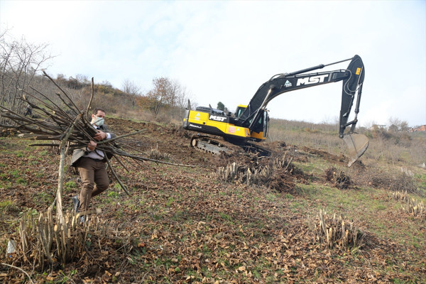 Trabzon'da ortaya çıktı 7 mahalle karantinaya alındı hızla yayılıyor - Resim: 2