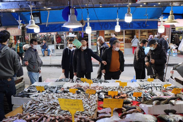 Samsun'da 15 TL'ye düştü! Fiyatı duyan tezgaha koştu - Resim: 0