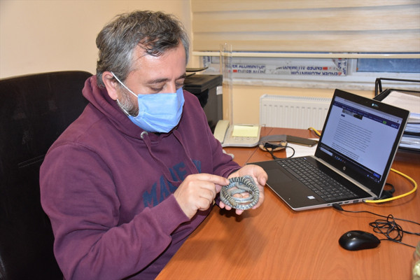 Türkiye'de ilk kez görüldü! Hakkari'de ortaya çıktı - Resim: 1