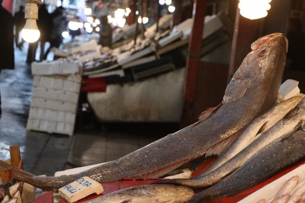 Mersin'de gören şaşkına döndü telefona sarıldı: İlk defa denk geldik - Resim: 0