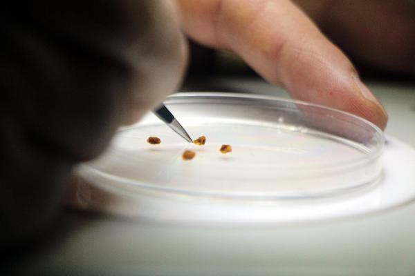 Bilim dünyasında bir ilk! Dünyada sadece Bolu'da bulunuyor - Resim: 0