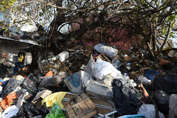 Böylesi görülmedi! Mersin'de evden çıkanlar görenleri şok etti - Resim: 0