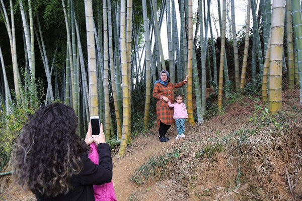 Dedesi 25 yıl önce Artvin'e getirdi! Gören fotoğraf çekiliyor günde 300 insan geliyor - Resim: 1