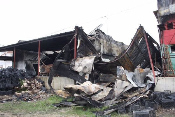 Her şey alev alev yandı hasar çok büyük! Antalya 350 ton küle döndü - Resim: 1