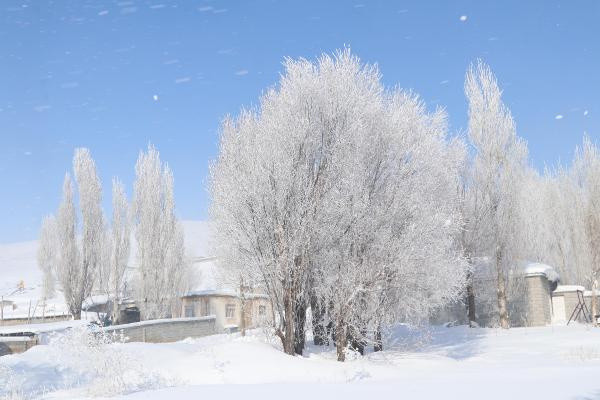 Türkiye'nin en soğuk ilçesi Çaldıran oldu! Eksi 26,9 dereceyi gördü - Resim: 0