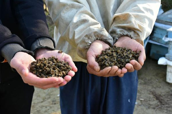 Adana'da 280 bin TL zarar etti mezara gömüp başında dua etti: İşkence yaşamış gibi hissettim kendimi - Resim: 0